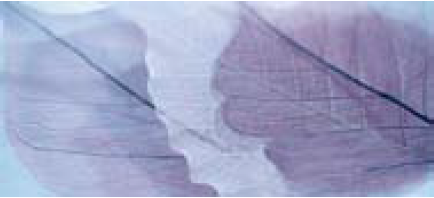 Devon-1 Lavanda 27x60см