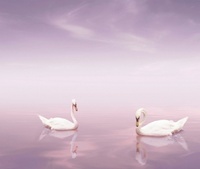 Decor Cisnes - 2 елемента 30х70см