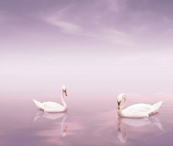 Decor Cisnes - 2 елемента 30х70см