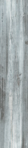 Naturalis Gris