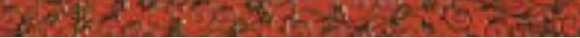 CF Bloom Rojo 4.3x59.2см