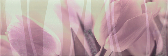 Decor Intense Rose 20x60см