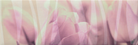 Decor Arome Rose 20x60см