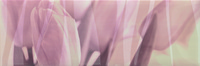 Decor Sensuelle Rose 20x60см