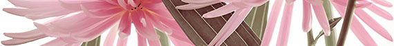 Listelo Euphoria Perla 7.5х63.2см