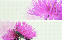 Decor Pasione Blanco - 2 елемента 20x60см