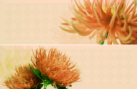 Decor Pasione Cava - 2 елемента 20x60см