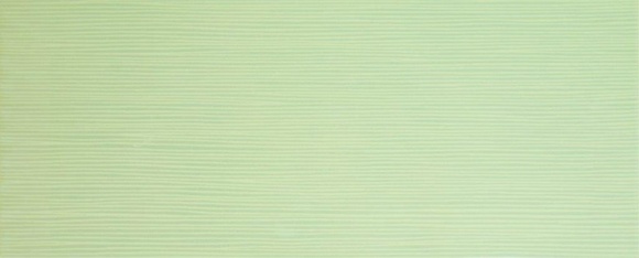 Glitter Pistacho 20х50см