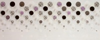 Decor Glitter-2 20x50см