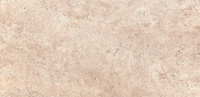 Monticello Beige 25х50см